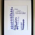 Stop and Smell the Lavender..