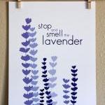 Stop and Smell the Lavender..