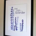 Stop and Smell the Lavender..